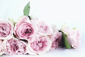 what to do when someone dies