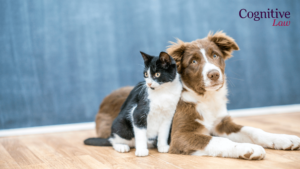 separation: who keeps the pet?