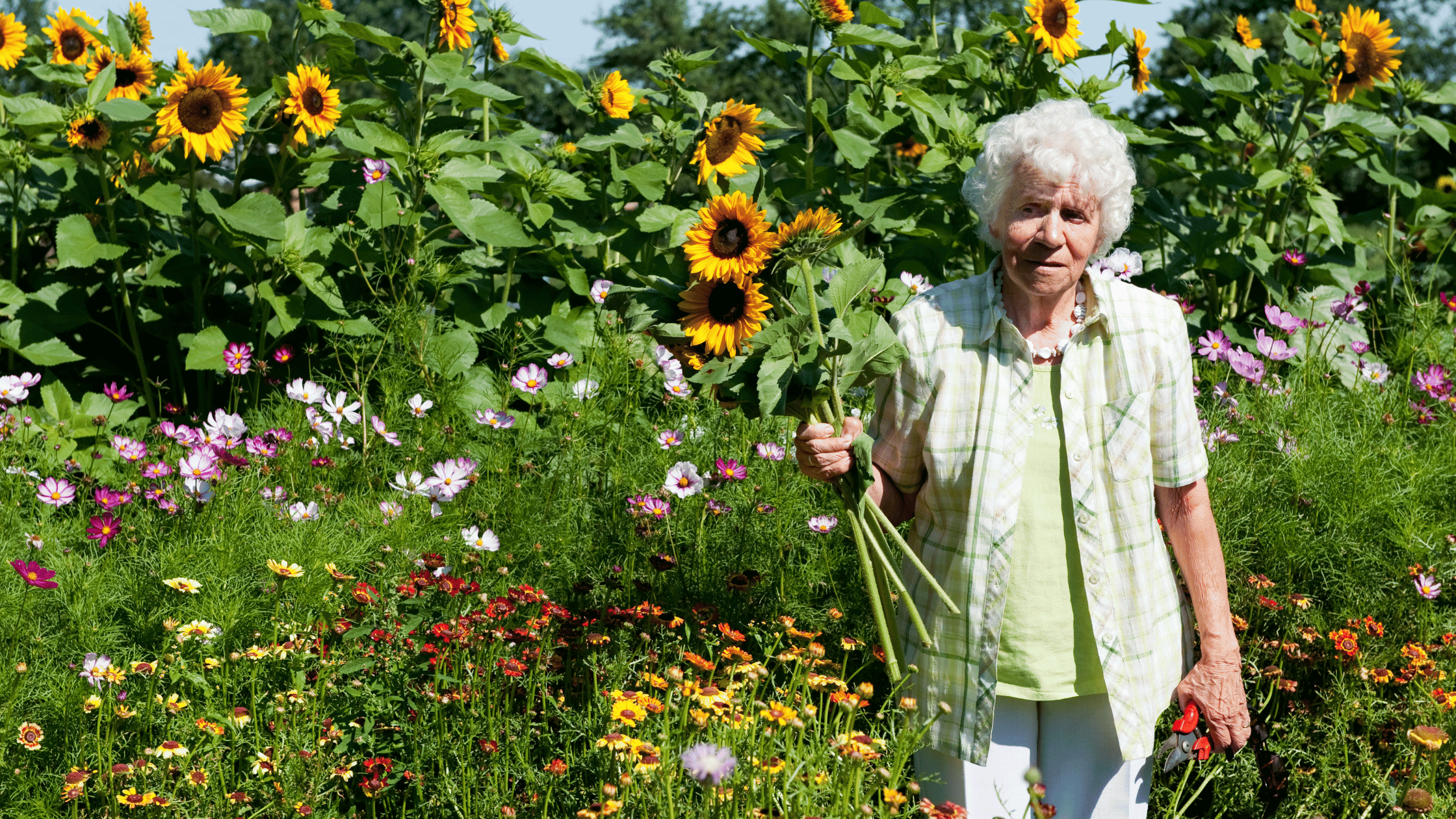 challenging a will